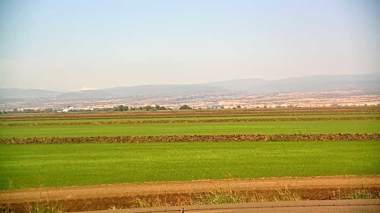 Under a clear sky, a vast, flat field of vibrant green crops is divided by strips of dark brown earth, with distant mountains visible on the horizon.