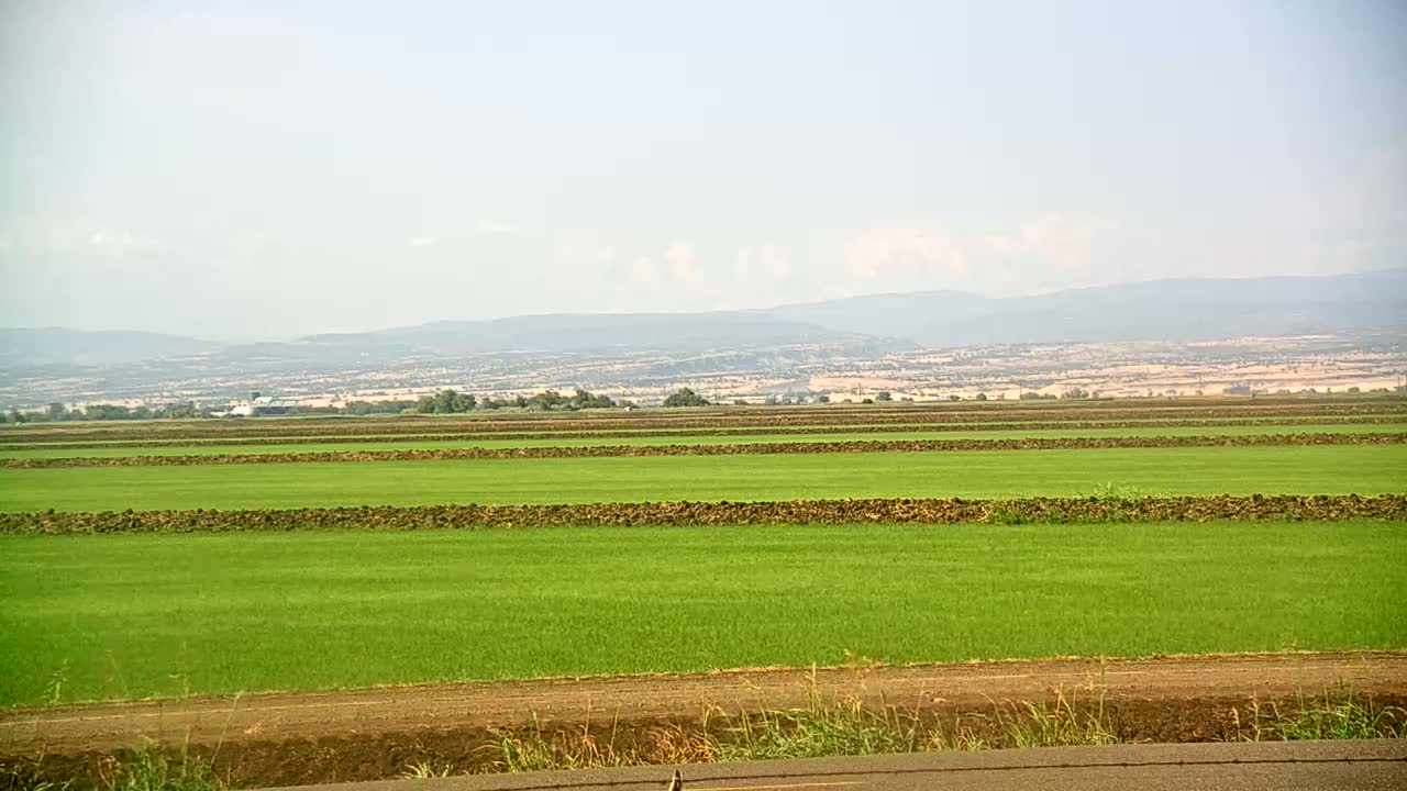 Under a hazy sky, expansive green fields divided by dark brown furrows stretch to distant, hazy mountains.