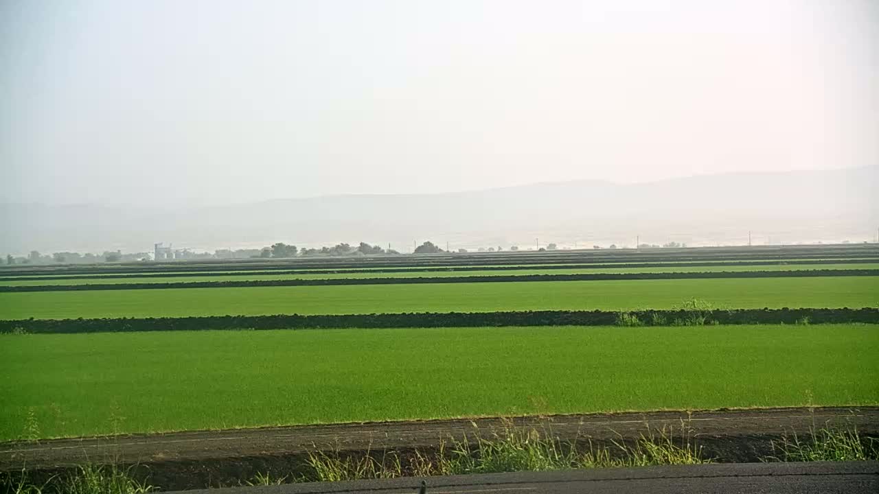 A hazy, bright day reveals a vast, flat field of vibrant green rice paddies separated by dark brown dividers, with distant, indistinct hills in the background.
