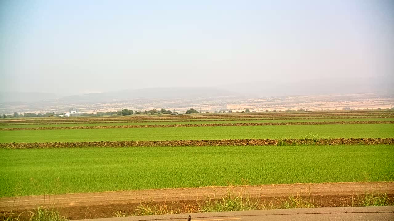 A hazy day reveals a vast, flat agricultural landscape of bright green fields separated by dark brown dividers, extending to distant, indistinct mountains.