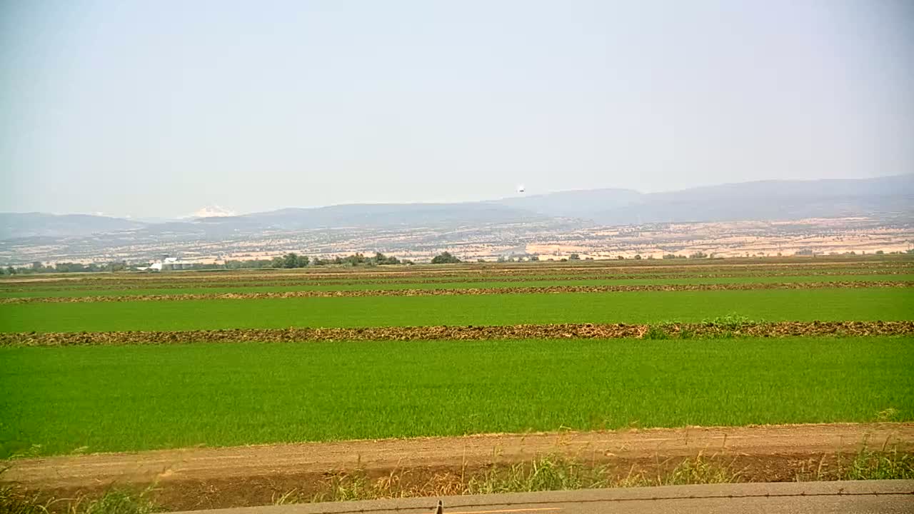 A vast, flat field of vibrant green crops stretches to the horizon, separated by strips of dark brown earth, under a hazy sky with distant mountains visible.