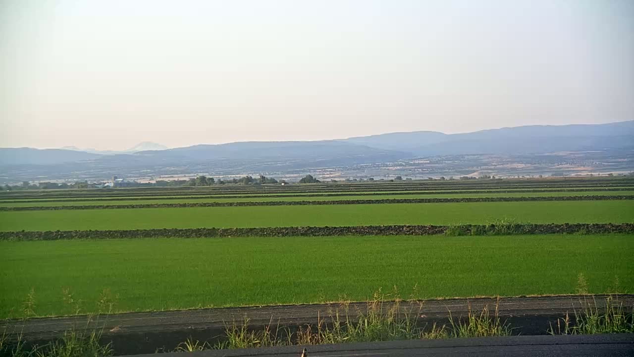 Under a hazy sky, a vast expanse of bright green rice paddies stretches towards a distant mountain range.