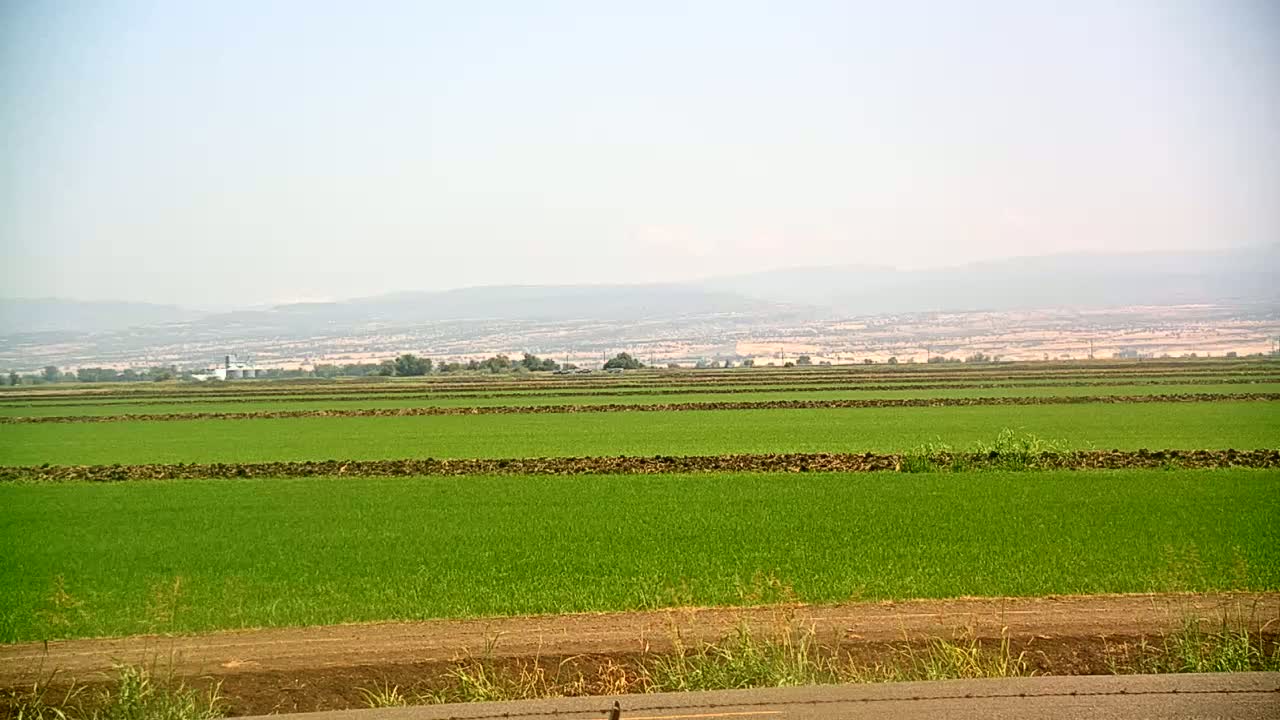 Under a hazy sky, a vast expanse of vibrant green fields, separated by dark brown dividers, stretches towards distant mountains.