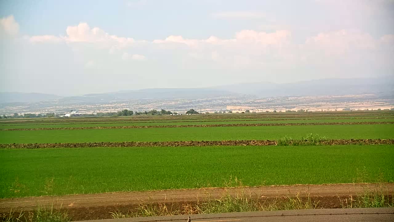 Vast, flat fields of vibrant green crops are divided by dark brown furrows, stretching towards distant hazy mountains under a partly cloudy sky.