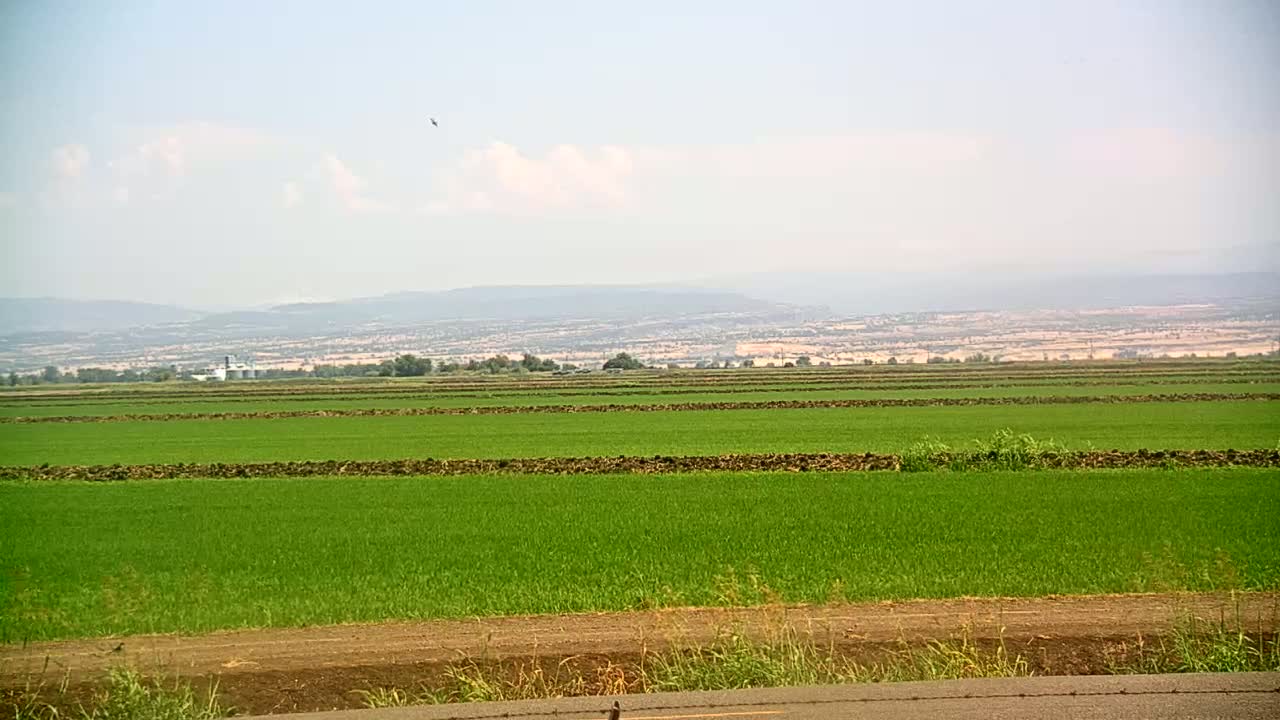 Vast, flat fields of bright green crops stretch to the horizon under a mostly clear, light blue sky, with distant mountains visible in the background.