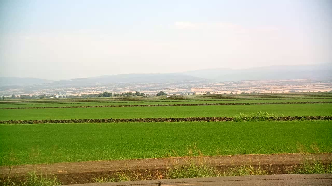 Vast, flat fields of vibrant green crops are separated by low stone walls, stretching towards hazy mountains under a clear sky.