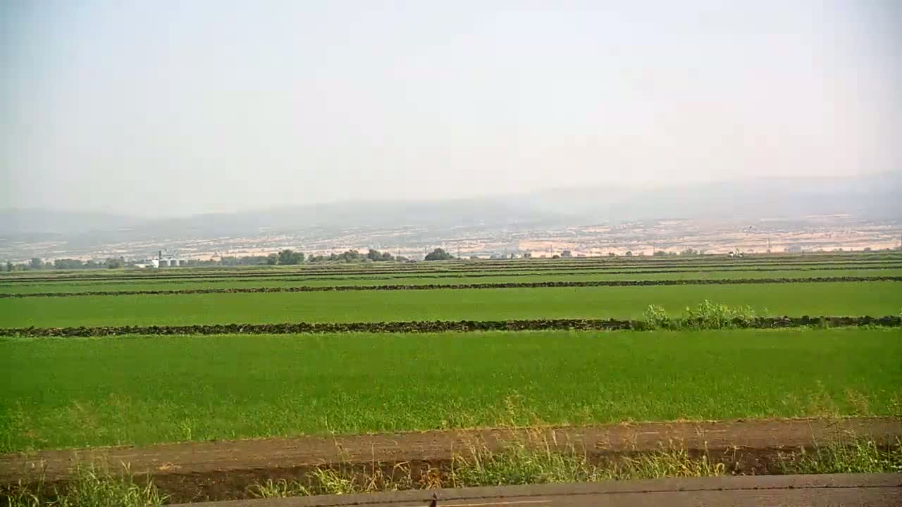 Under a hazy sky, a vast expanse of bright green fields is divided by low, dark brown dividers, with a distant cityscape visible on the horizon.