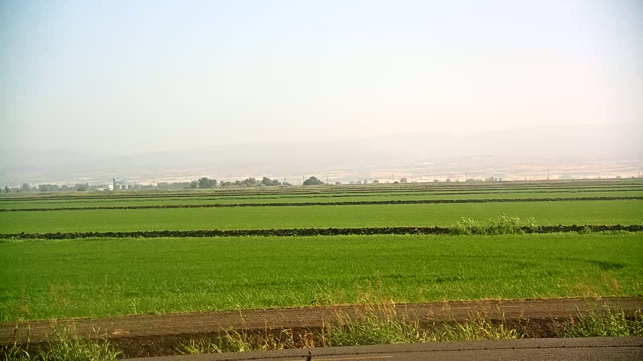 Vast, flat fields of bright green crops are divided by dark brown dividers, stretching to a hazy horizon under a clear, light sky.