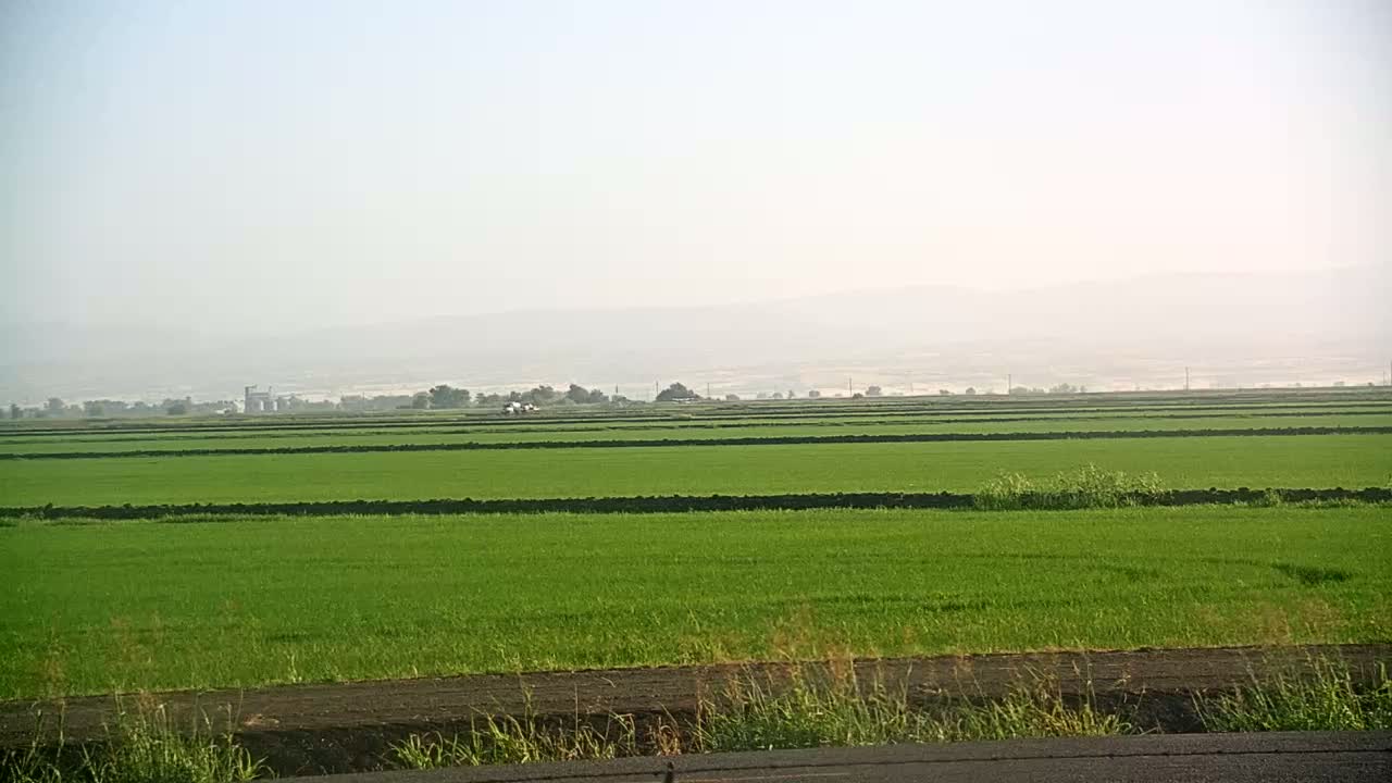 A hazy, expansive field of vibrant green crops stretches to a distant, indistinct horizon under a pale sky.