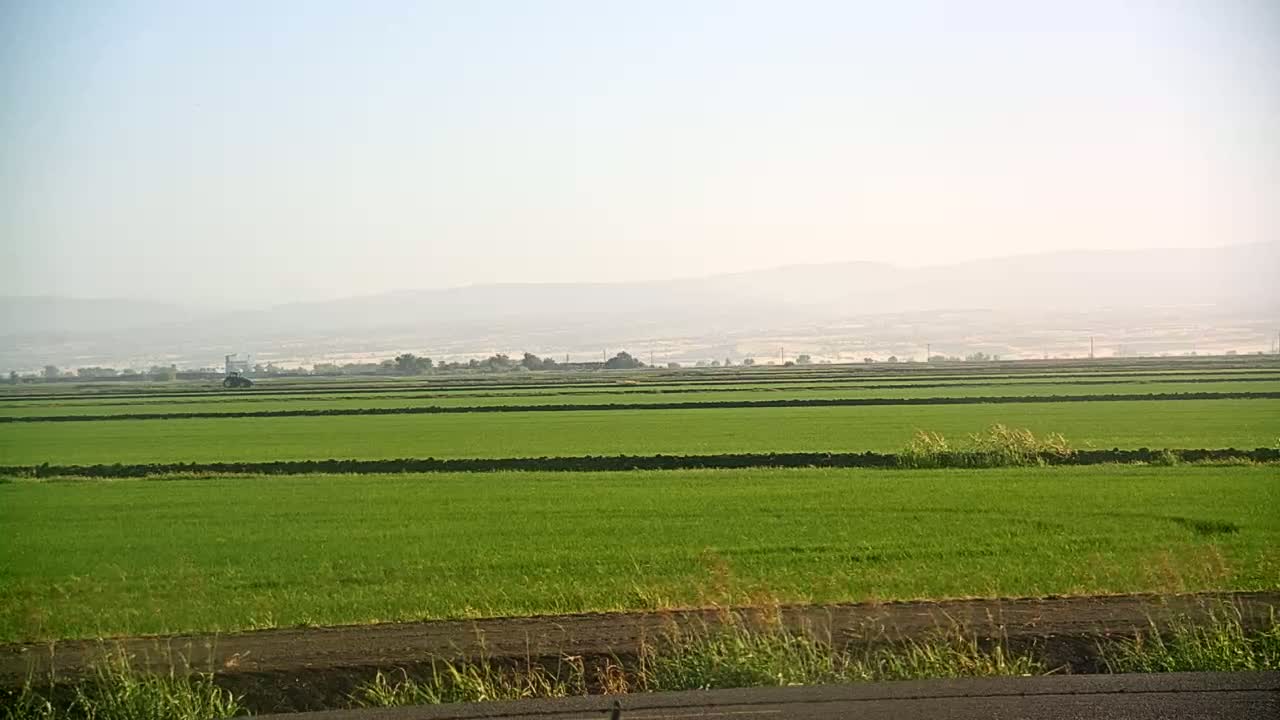 A vast expanse of vibrant green rice paddies stretches to hazy mountains under a clear, bright sky.