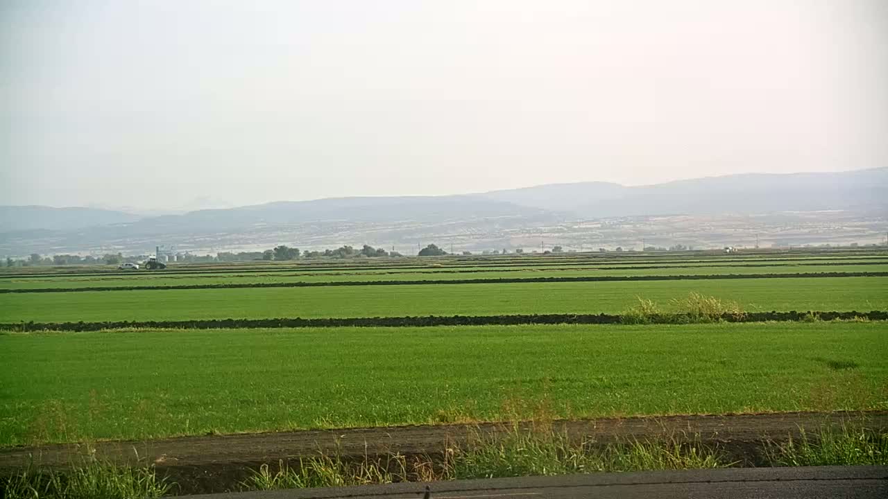 A vast, flat field of bright green crops is divided into sections by dark brown furrows, with a hazy mountain range visible in the distance under a light, overcast sky.
