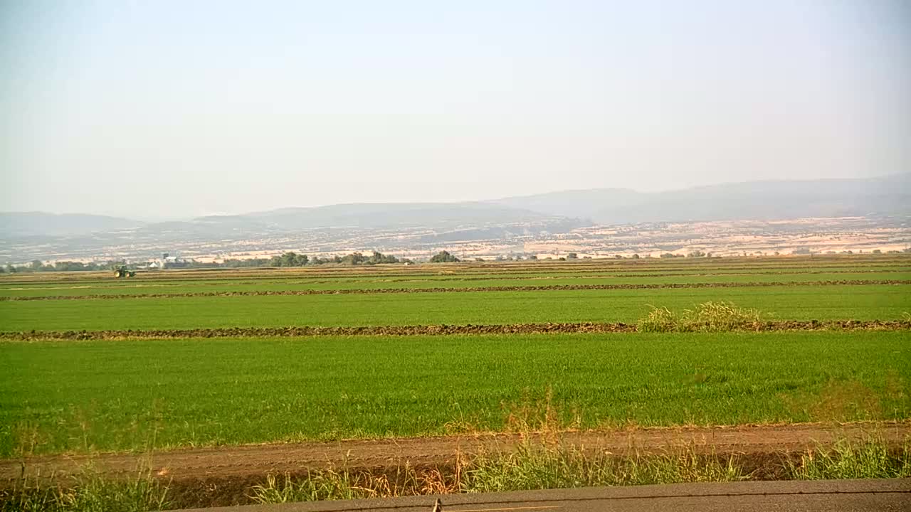 A vast, flat field of bright green crops stretches to the horizon under a hazy sky, with distant mountains visible in the background.