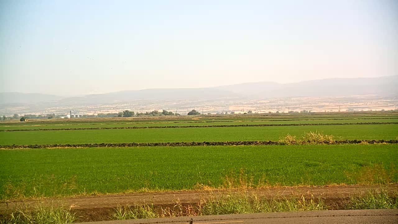 Vast, flat fields of vibrant green crops are divided by low stone walls, extending to hazy mountains under a clear, light-blue sky.