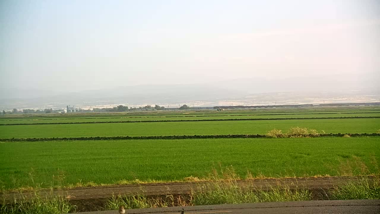 A vast expanse of vibrant green fields, divided by low stone walls, stretches to the horizon under a hazy sky.