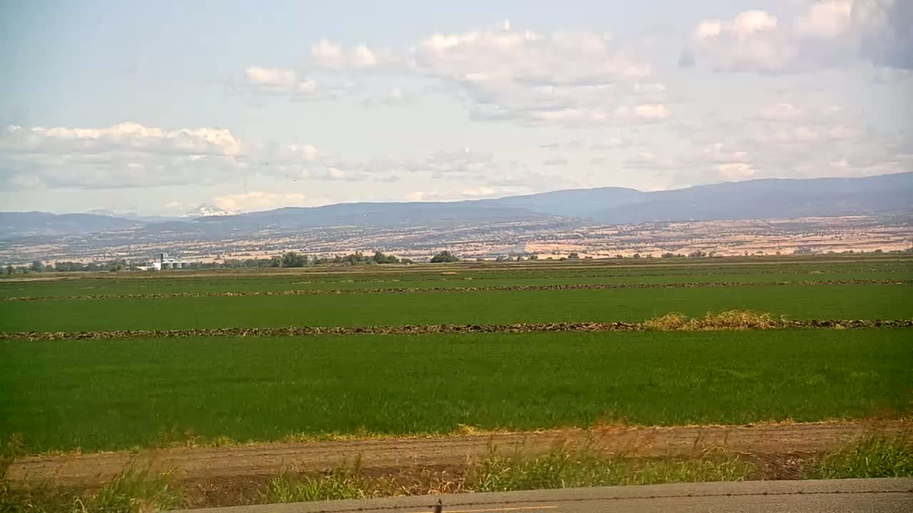 A vast, flat field of vibrant green crops stretches to the horizon under a partly cloudy sky, with distant mountains visible in the background.