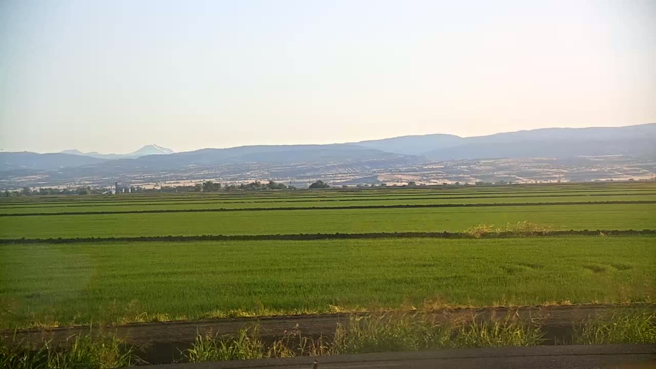 A vast, flat field of bright green crops stretches to distant, hazy mountains under a clear sky.