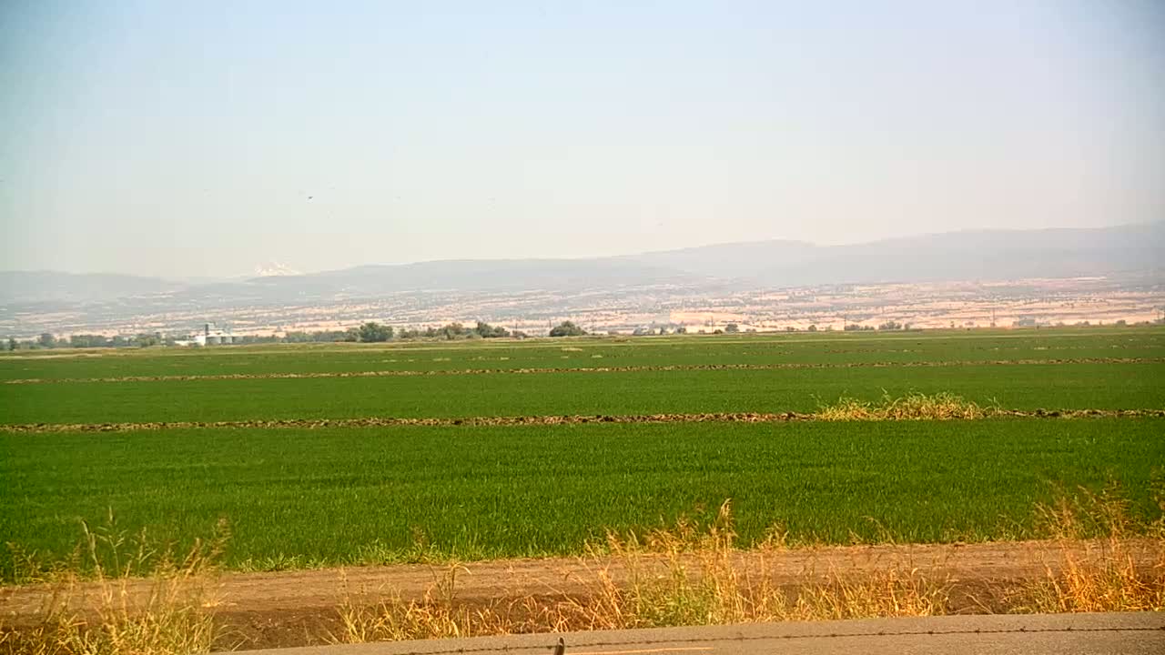 Western Canal Thermalito AfterBay & Butte Valley View Live Cam - Thermalito, Butte, California, USA