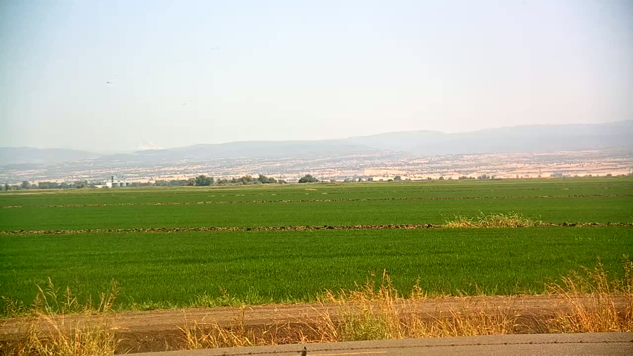 Western Canal Thermalito AfterBay & Butte Valley View Live Cam - Thermalito, Butte, California, USA
