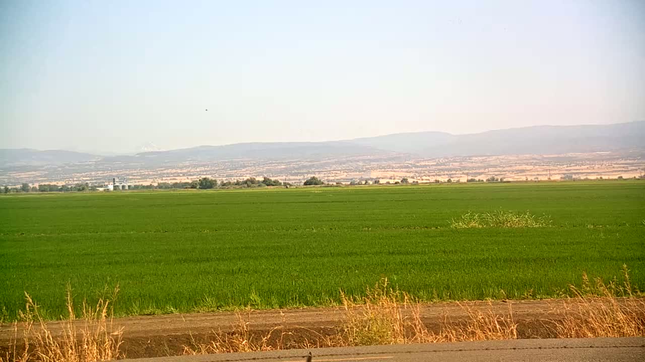 Western Canal Thermalito AfterBay & Butte Valley View Live Cam - Thermalito, Butte, California, USA