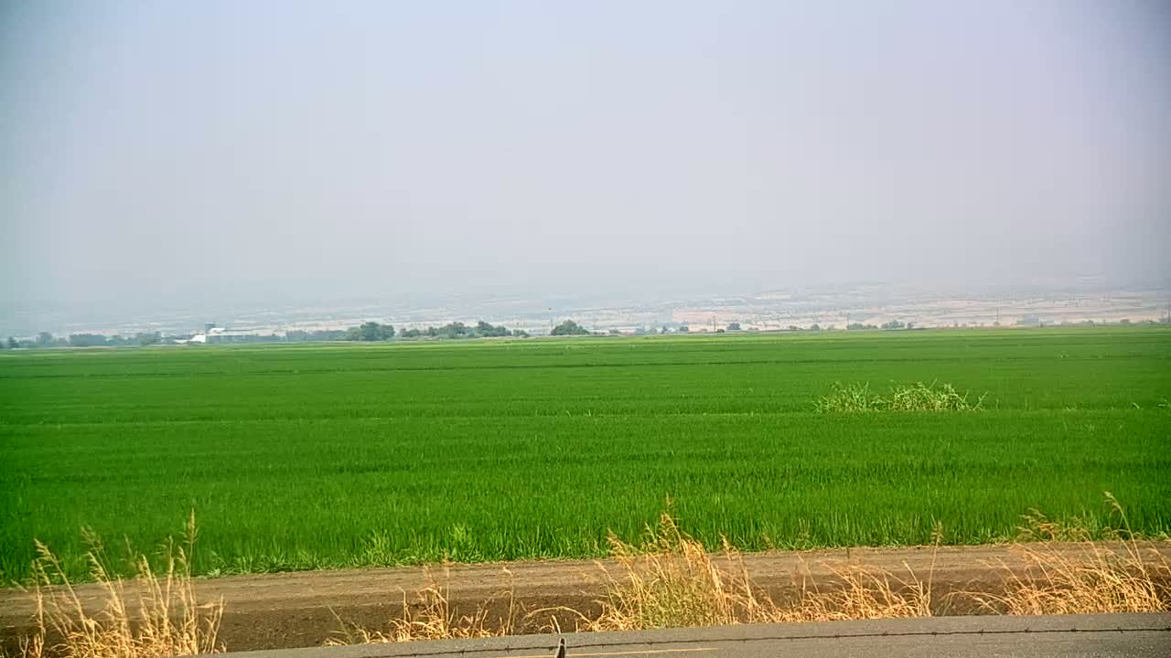 Western Canal Thermalito AfterBay & Butte Valley View Live Cam - Thermalito, Butte, California, USA