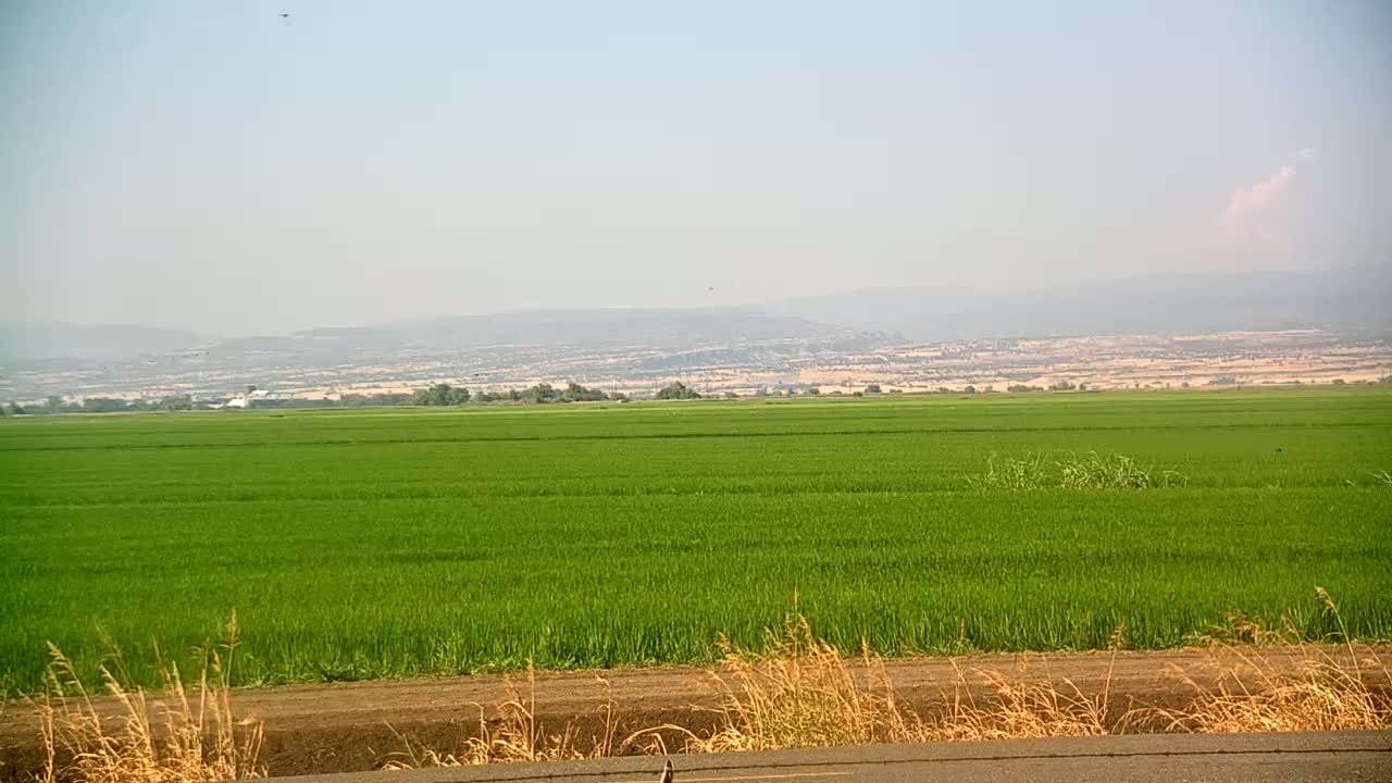 Western Canal Thermalito AfterBay & Butte Valley View Live Cam - Thermalito, Butte, California, USA