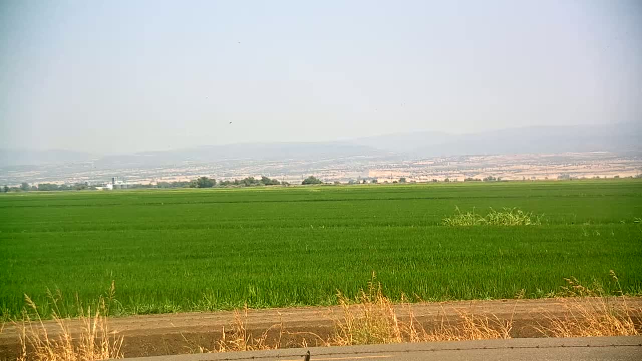 Western Canal Thermalito AfterBay & Butte Valley View Live Cam - Thermalito, Butte, California, USA