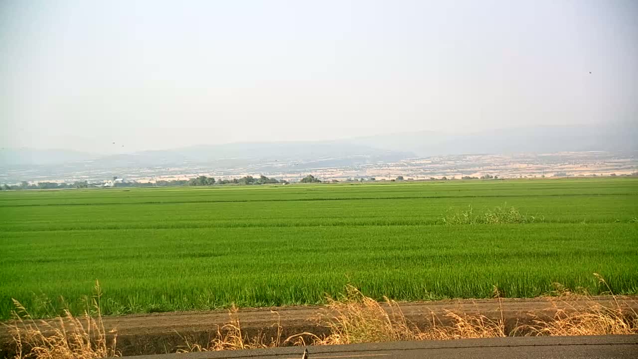 Western Canal Thermalito AfterBay & Butte Valley View Live Cam - Thermalito, Butte, California, USA