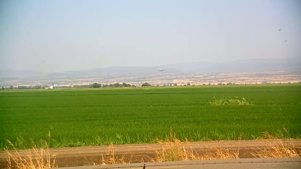 Western Canal Thermalito AfterBay & Butte Valley View Live Cam - Thermalito, Butte, California, USA
