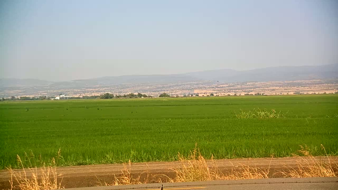Western Canal Thermalito AfterBay & Butte Valley View Live Cam - Thermalito, Butte, California, USA
