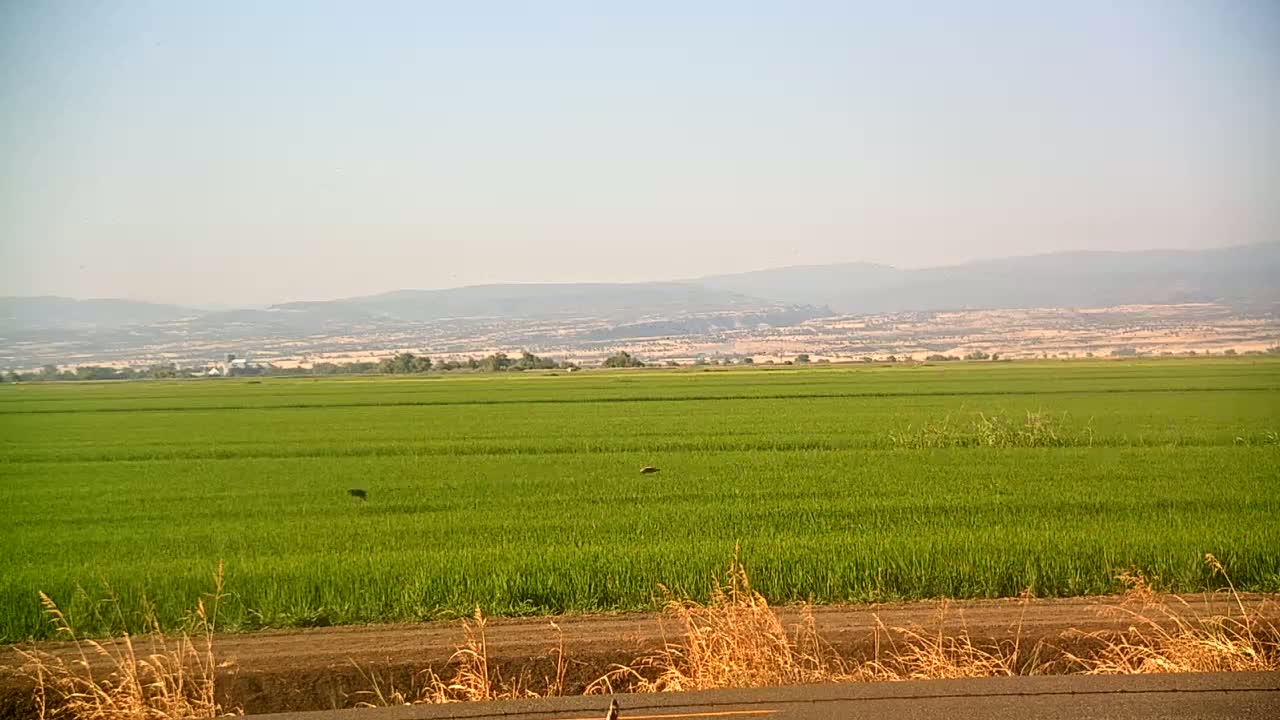 Western Canal Thermalito AfterBay & Butte Valley View Live Cam - Thermalito, Butte, California, USA