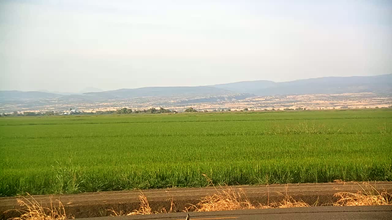 Western Canal Thermalito AfterBay & Butte Valley View Live Cam - Thermalito, Butte, California, USA