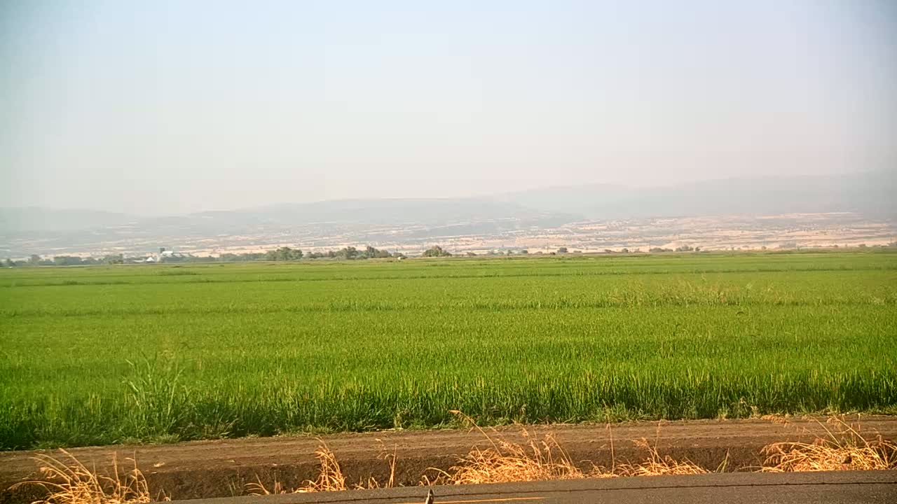 Western Canal Thermalito AfterBay & Butte Valley View Live Cam - Thermalito, Butte, California, USA
