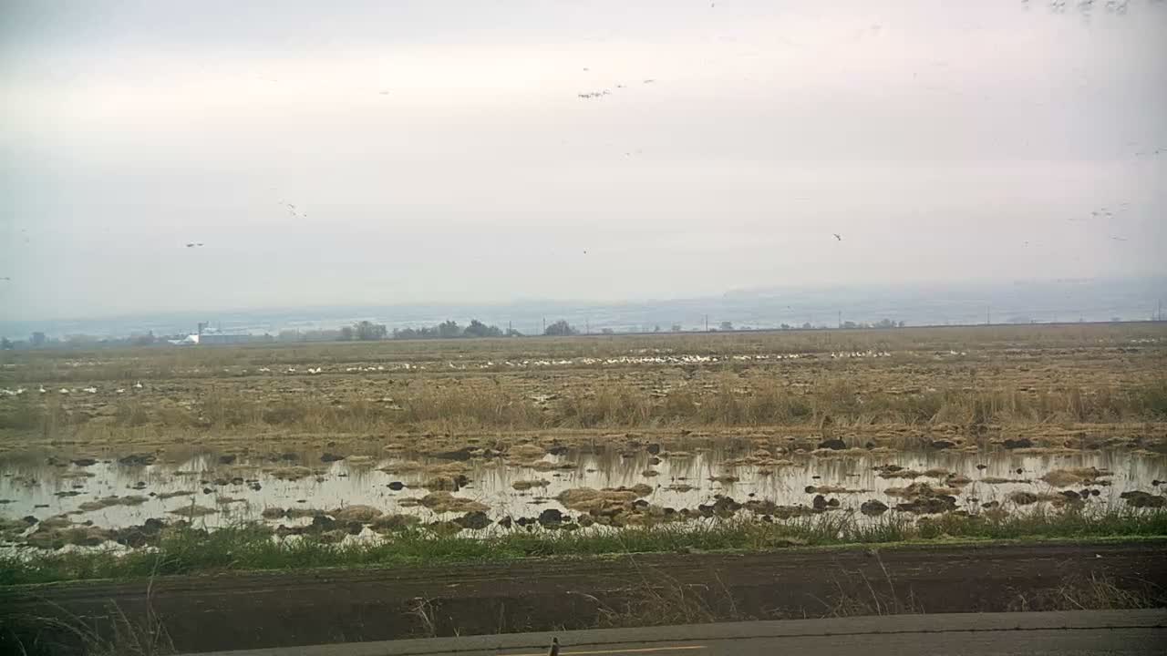 Western Canal Thermalito AfterBay & Butte Valley View Live Cam - Thermalito, Butte, California, USA