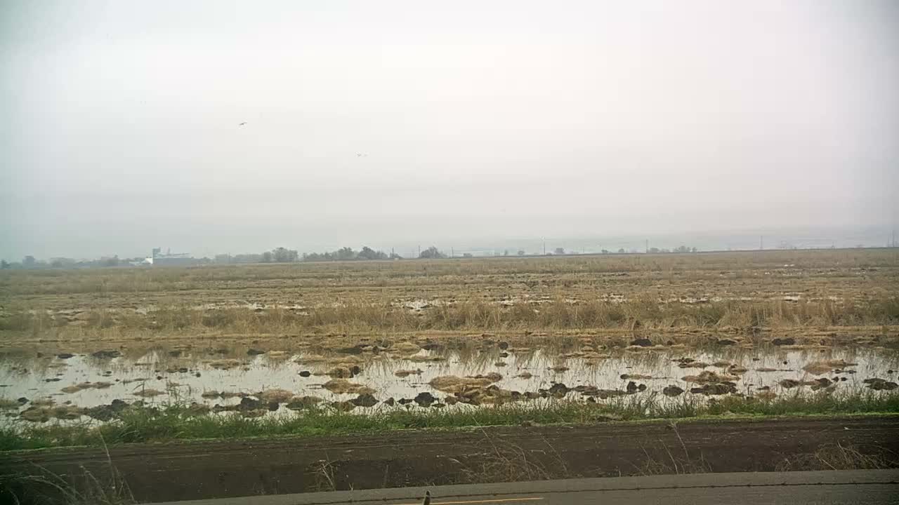 Western Canal Thermalito AfterBay & Butte Valley View Live Cam - Thermalito, Butte, California, USA