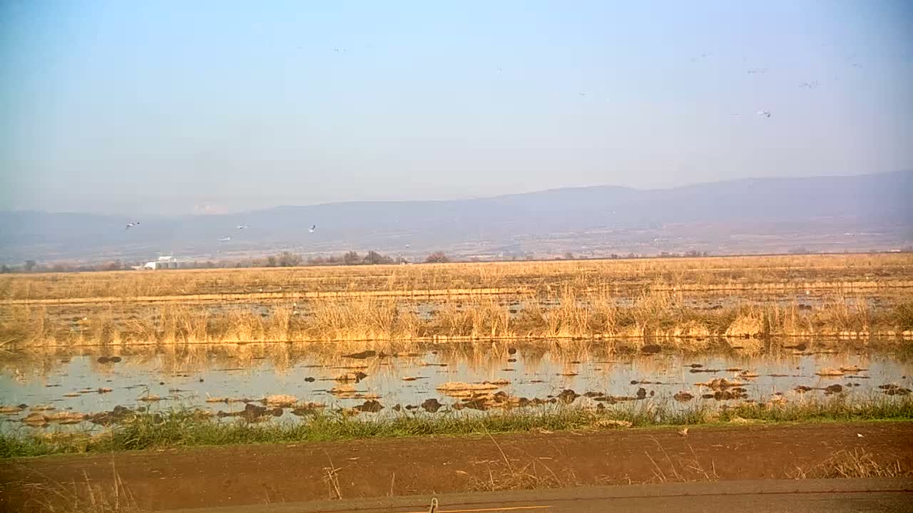 Western Canal Thermalito AfterBay & Butte Valley View Live Cam - Thermalito, Butte, California, USA