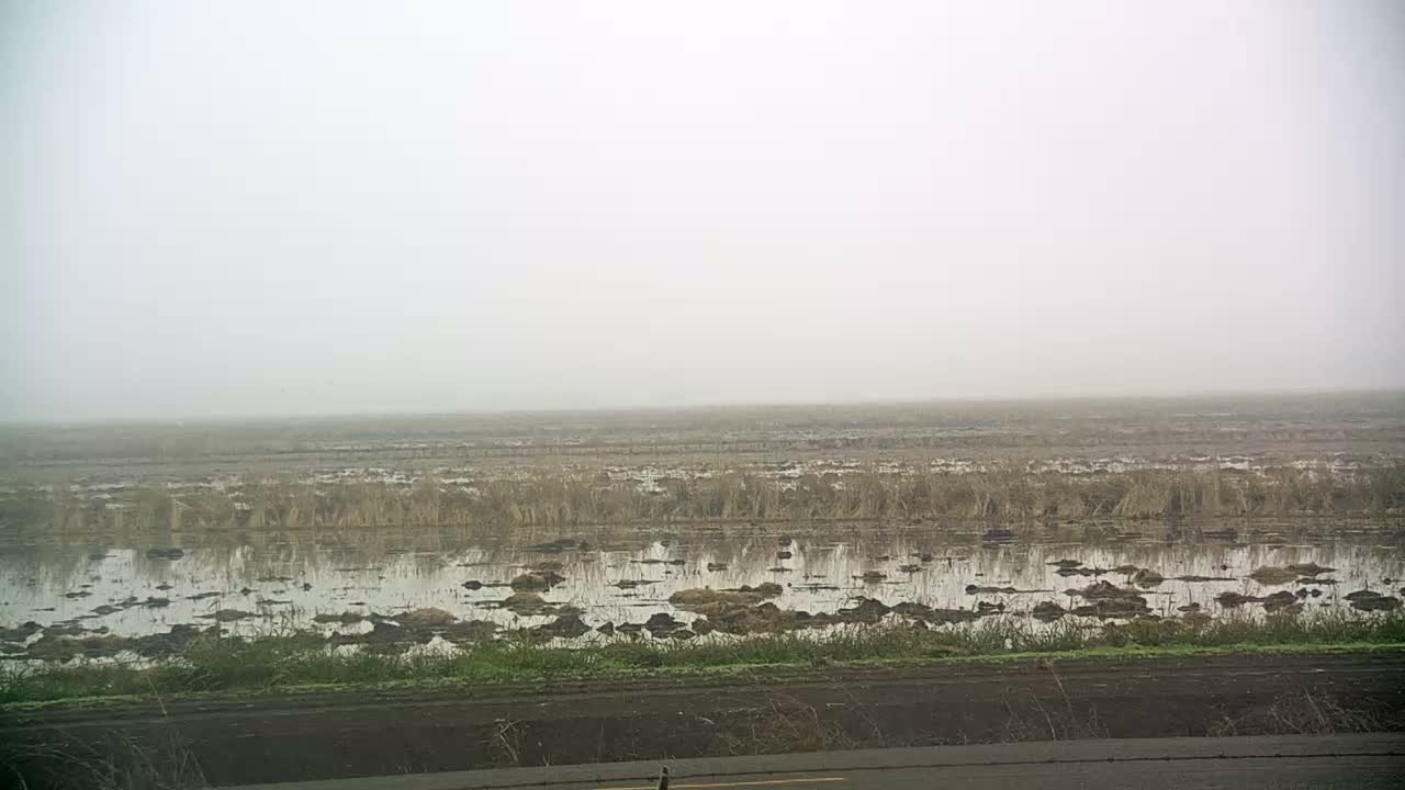 Western Canal Thermalito AfterBay & Butte Valley View Live Cam - Thermalito, Butte, California, USA