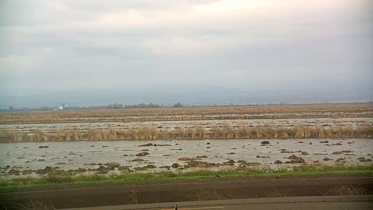 Western Canal Thermalito AfterBay & Butte Valley View Live Cam - Thermalito, Butte, California, USA
