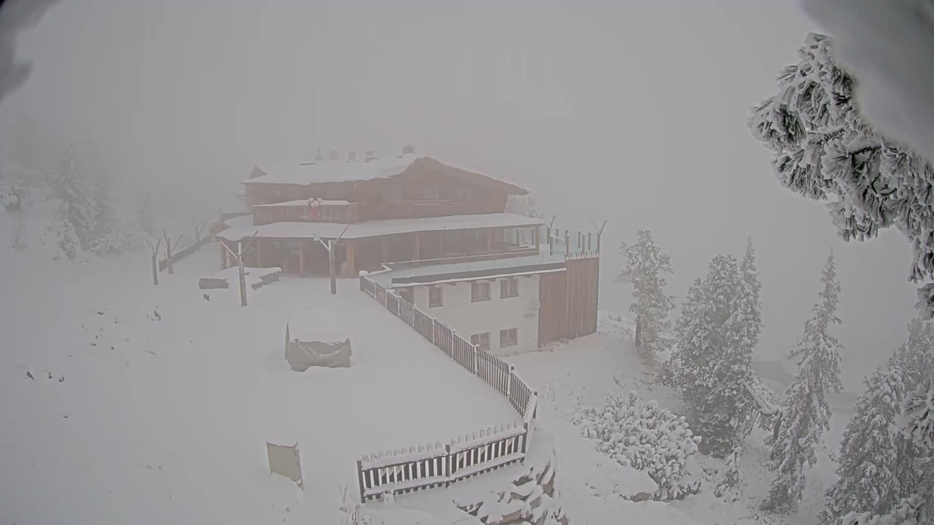 Zillertal Valley & Stummerberg Hill  Live Cam - Kaltenbach, Politischer Bezirk Schwaz, Tyrol, Austria