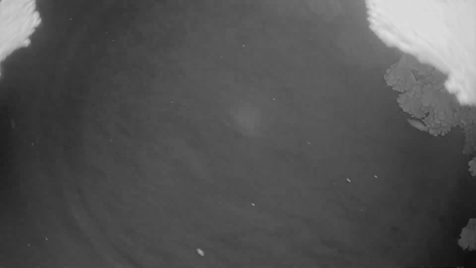 Zillertal Valley & Stummerberg Hill  Live Cam - Kaltenbach, Politischer Bezirk Schwaz, Tyrol, Austria