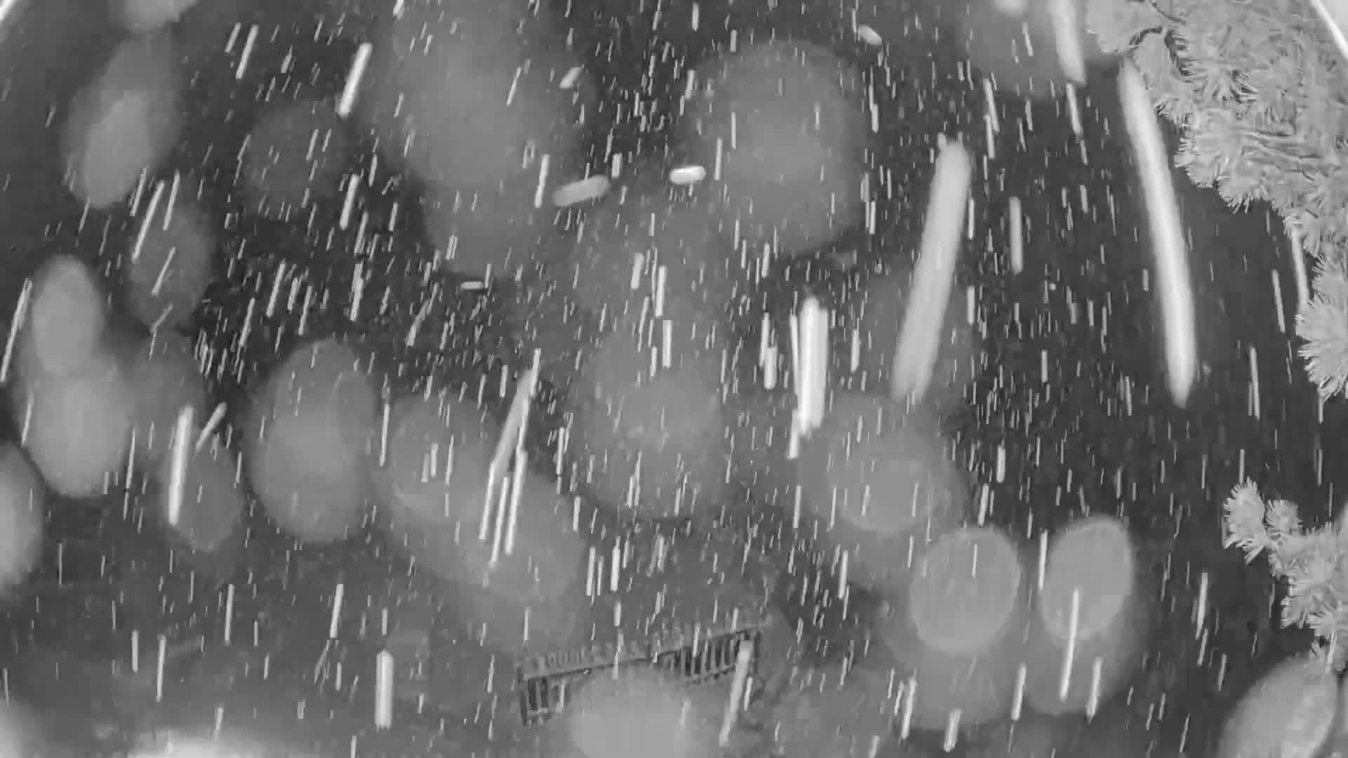 Zillertal Valley & Stummerberg Hill  Live Cam - Kaltenbach, Politischer Bezirk Schwaz, Tyrol, Austria