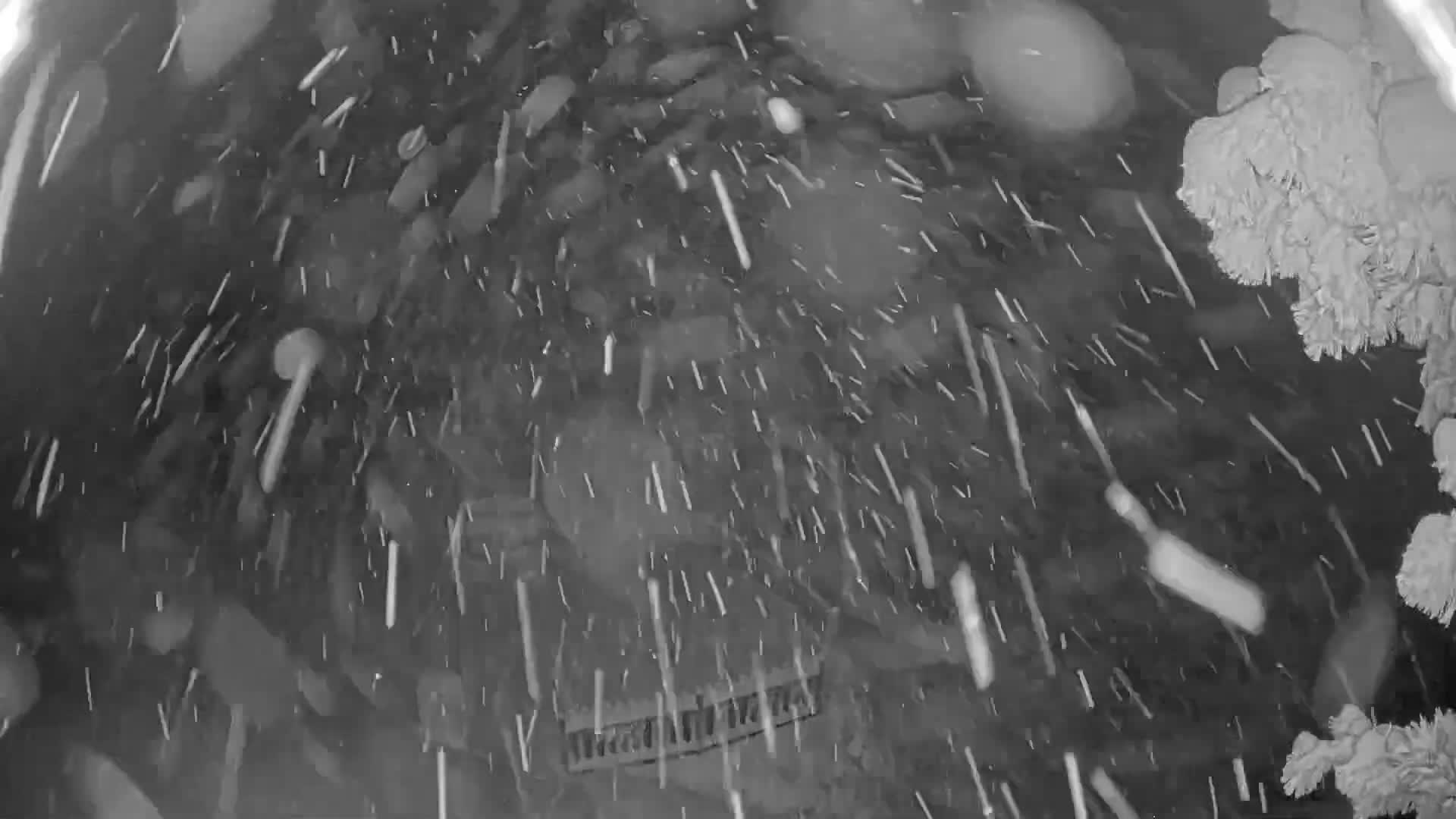 Zillertal Valley & Stummerberg Hill  Live Cam - Kaltenbach, Politischer Bezirk Schwaz, Tyrol, Austria