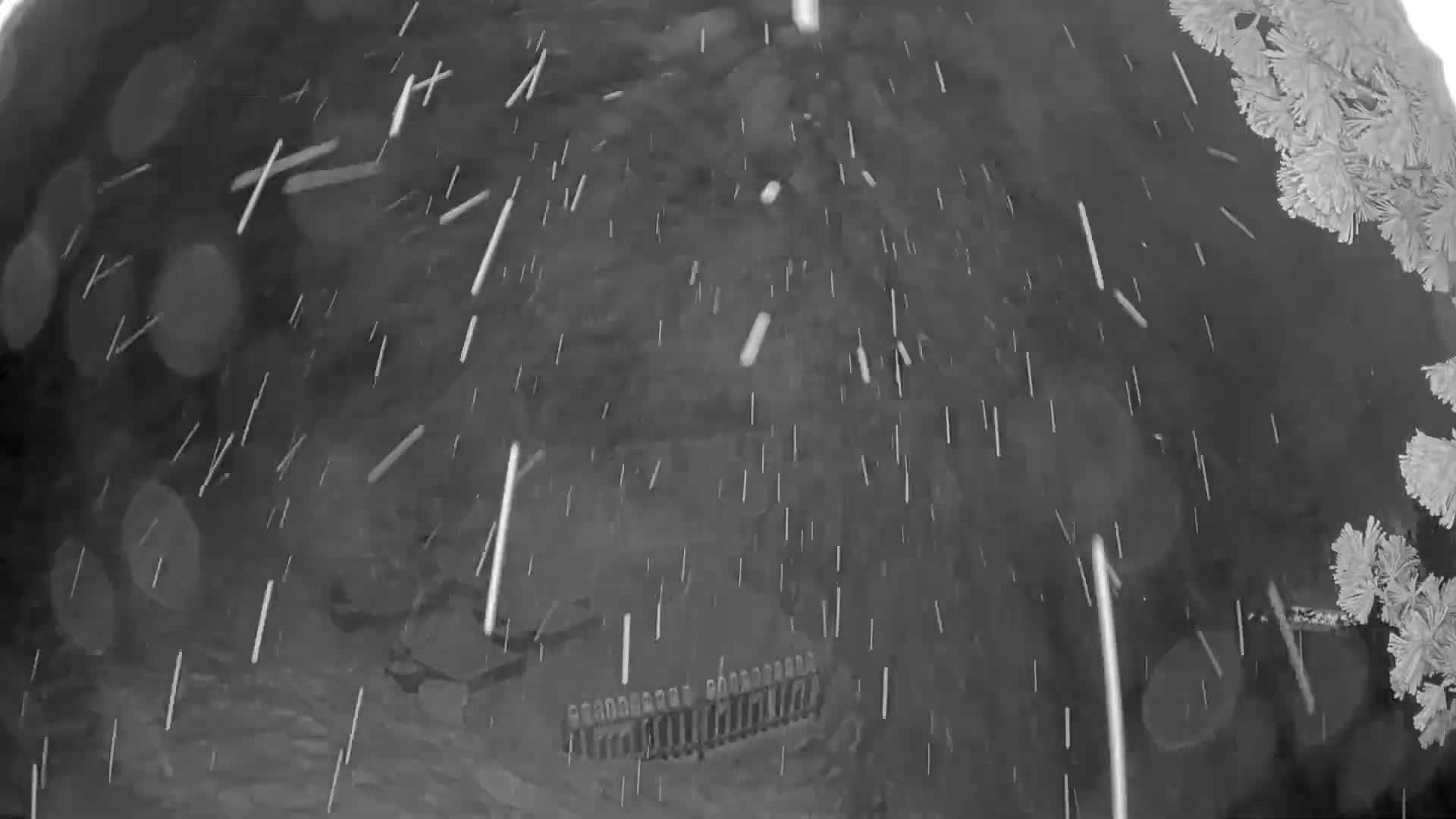 Zillertal Valley & Stummerberg Hill  Live Cam - Kaltenbach, Politischer Bezirk Schwaz, Tyrol, Austria