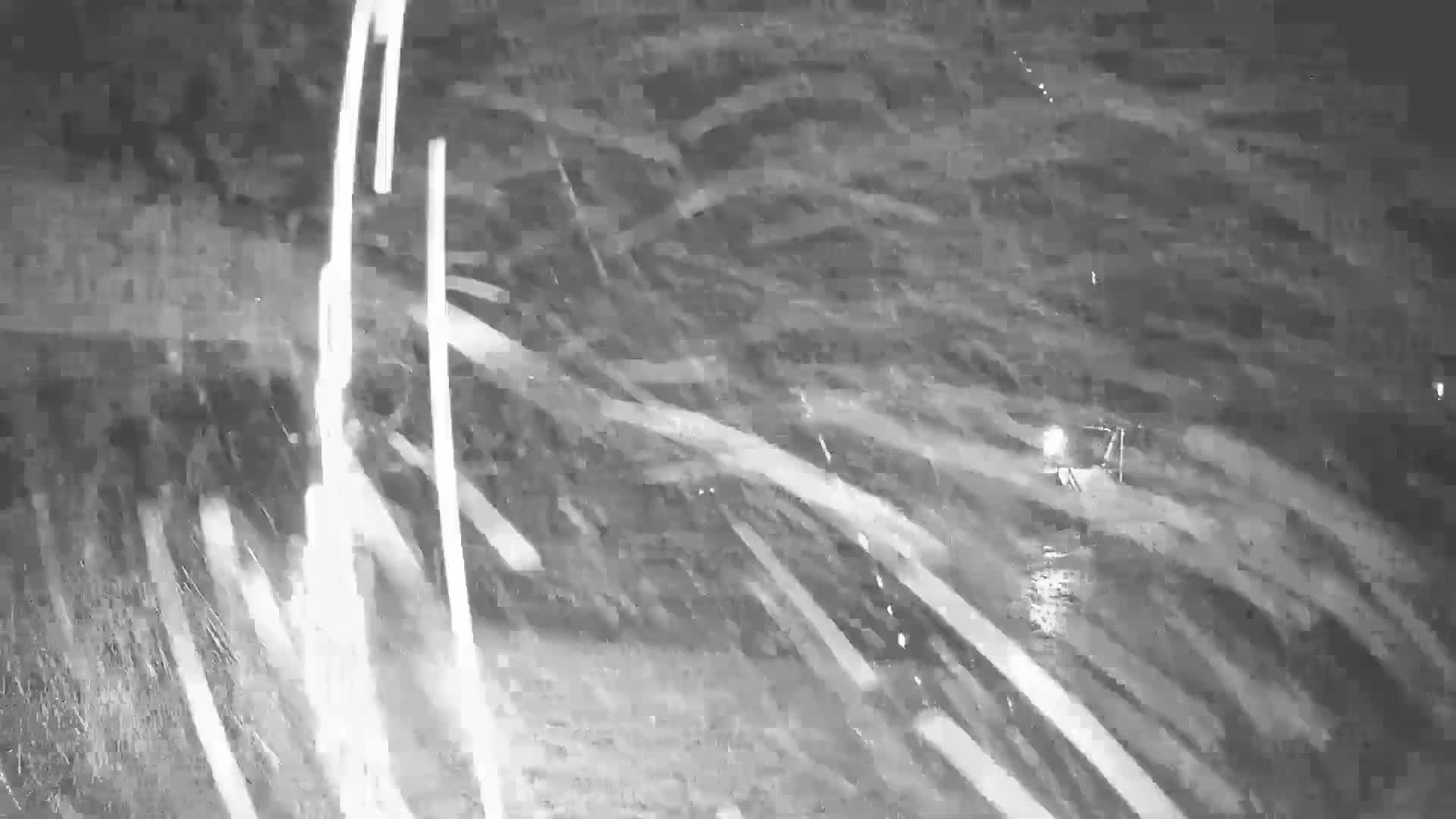 A nighttime scene of heavy snow blowing horizontally in a blurred, indistinct way.