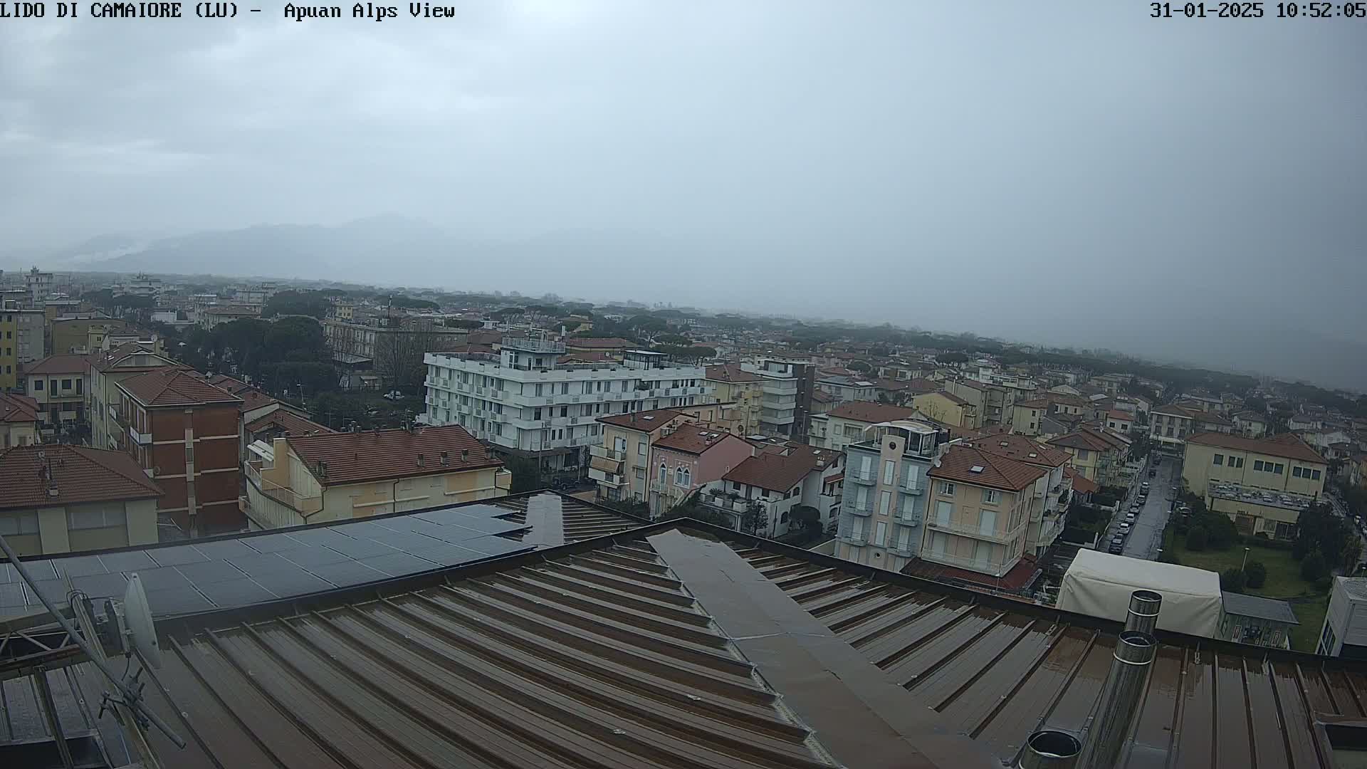 A wet rooftop overlooks a town under a gray, overcast sky.