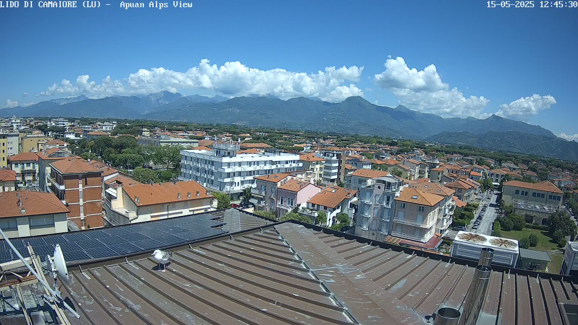 A seagull stands on a rooftop overlooking a town nestled against a mountain range under a partly cloudy blue sky.