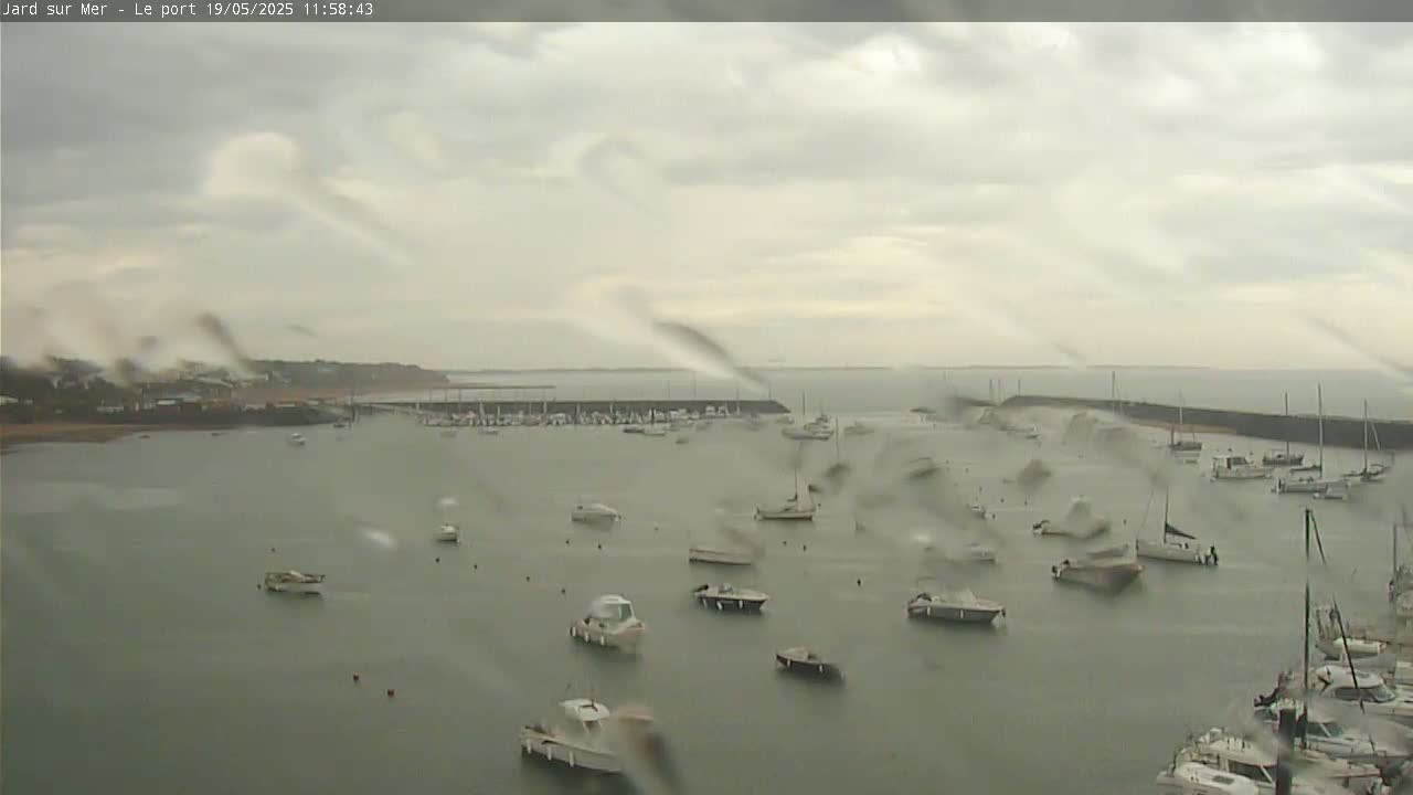 Many boats are docked in a harbor on an overcast, rainy day.