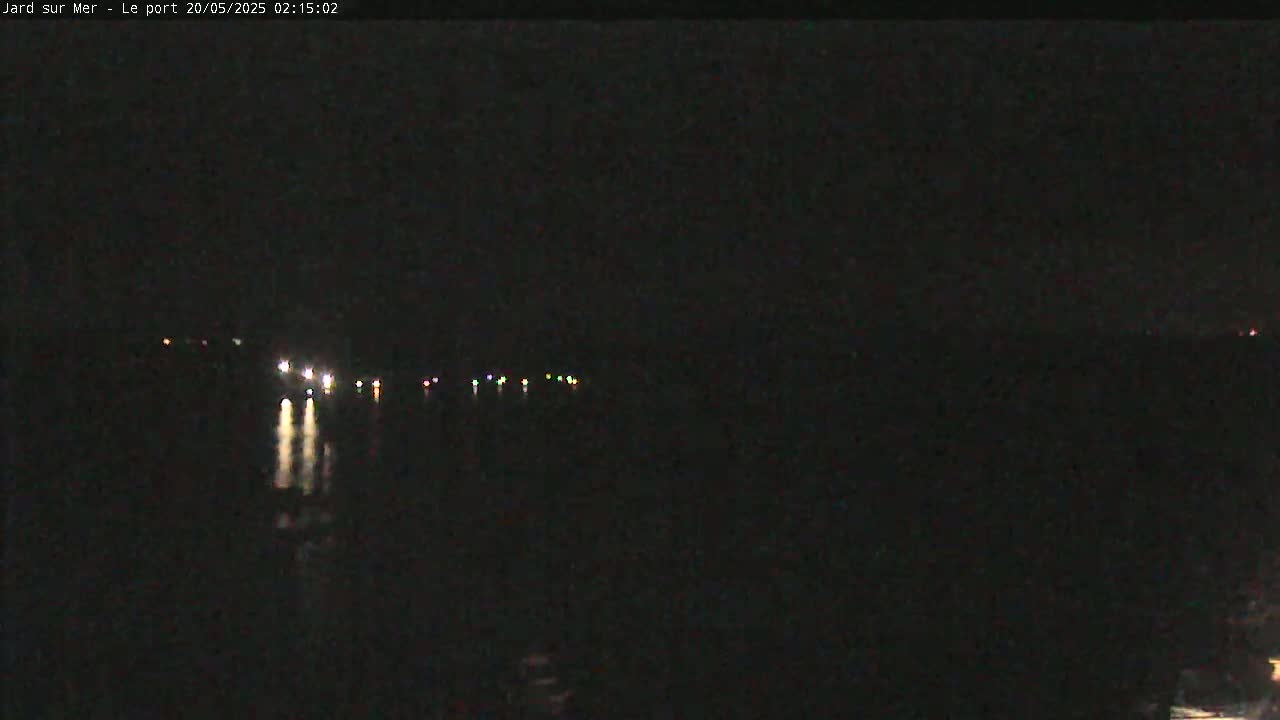 At night, a dark body of water reflects the lights of several distant vessels.