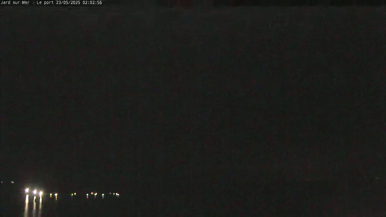 A nighttime view of a dark body of water with a few distant lights visible on the opposite shore under a clear, dark sky.