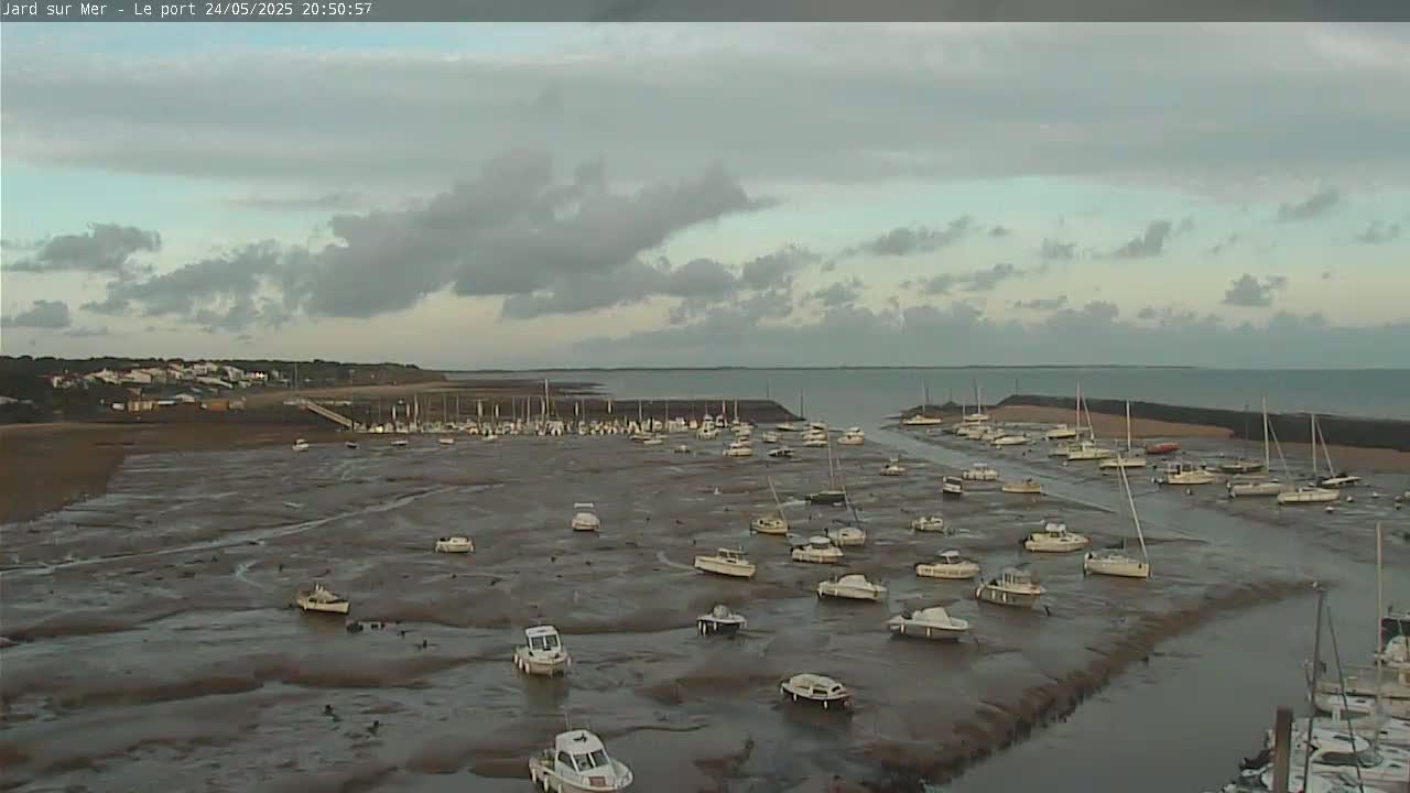 Numerous boats are resting on a mudflat at low tide in a harbor, under a mostly cloudy sky.