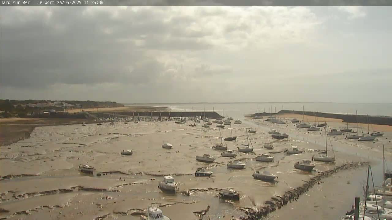 Many boats sit in a harbor on exposed mudflats under a partly cloudy sky.